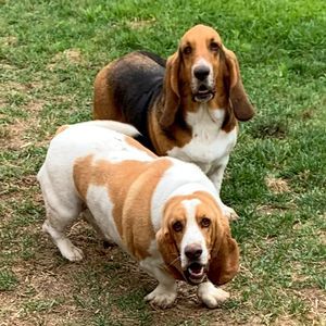 Meet your Posher, Diana